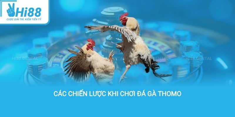 Các chiến lược khi chơi đá gà Thomo