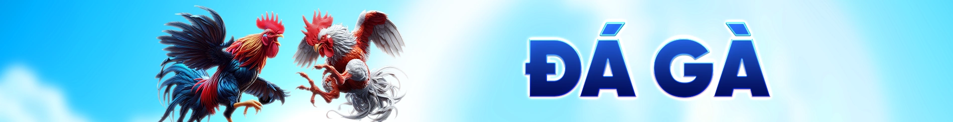 Đá gà banner