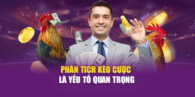 Phân tích kèo cược là yếu tố quan trọng